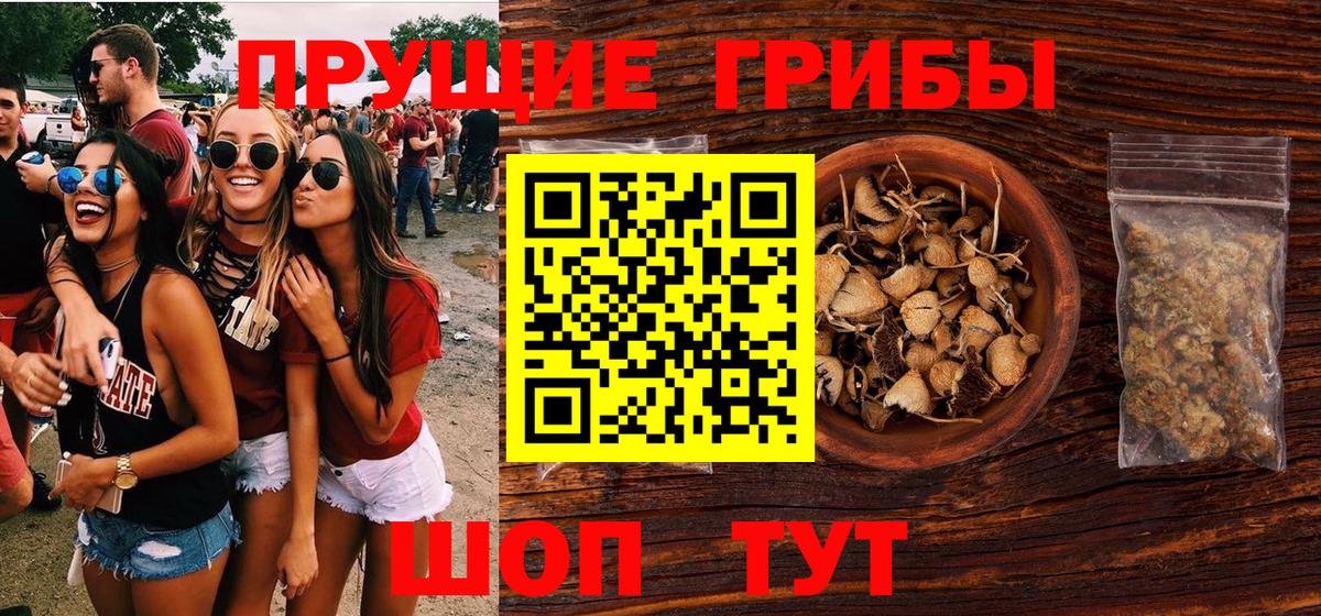 Свободный  Псилоцибиновые грибы мухоморы  Вход с VPN 